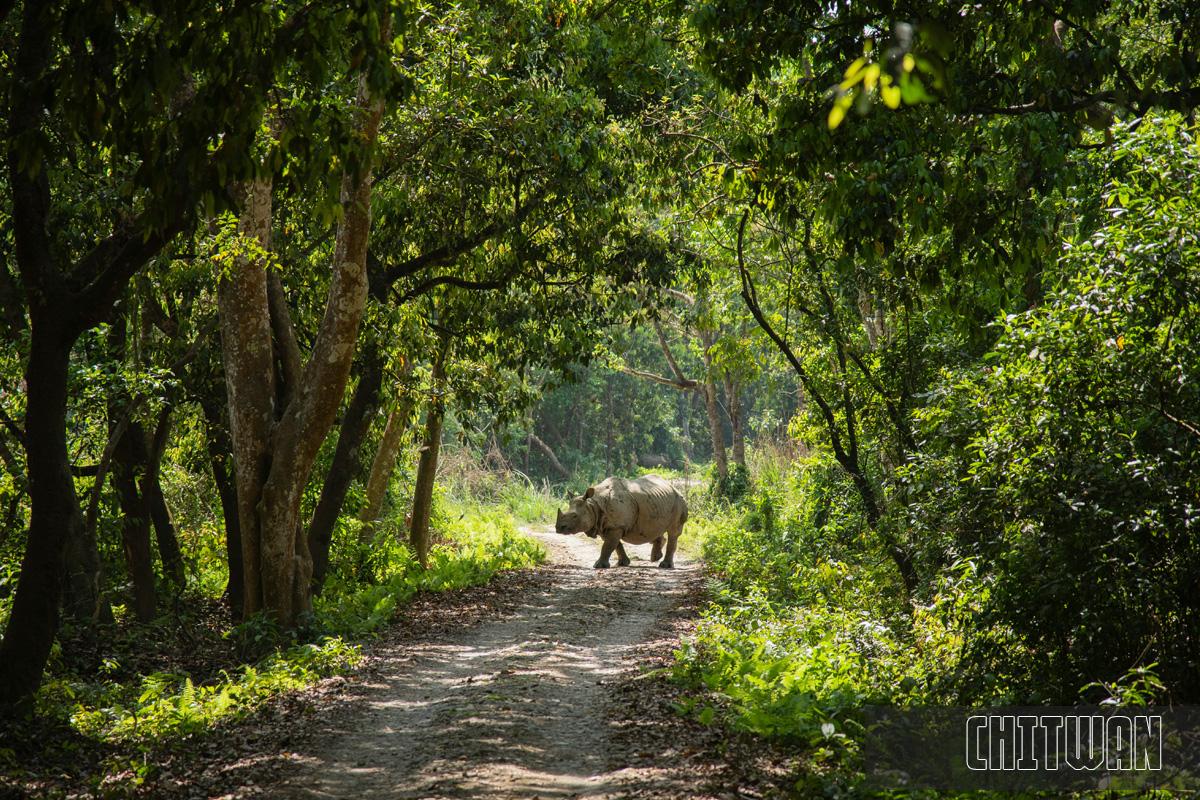 Chitwan National Park