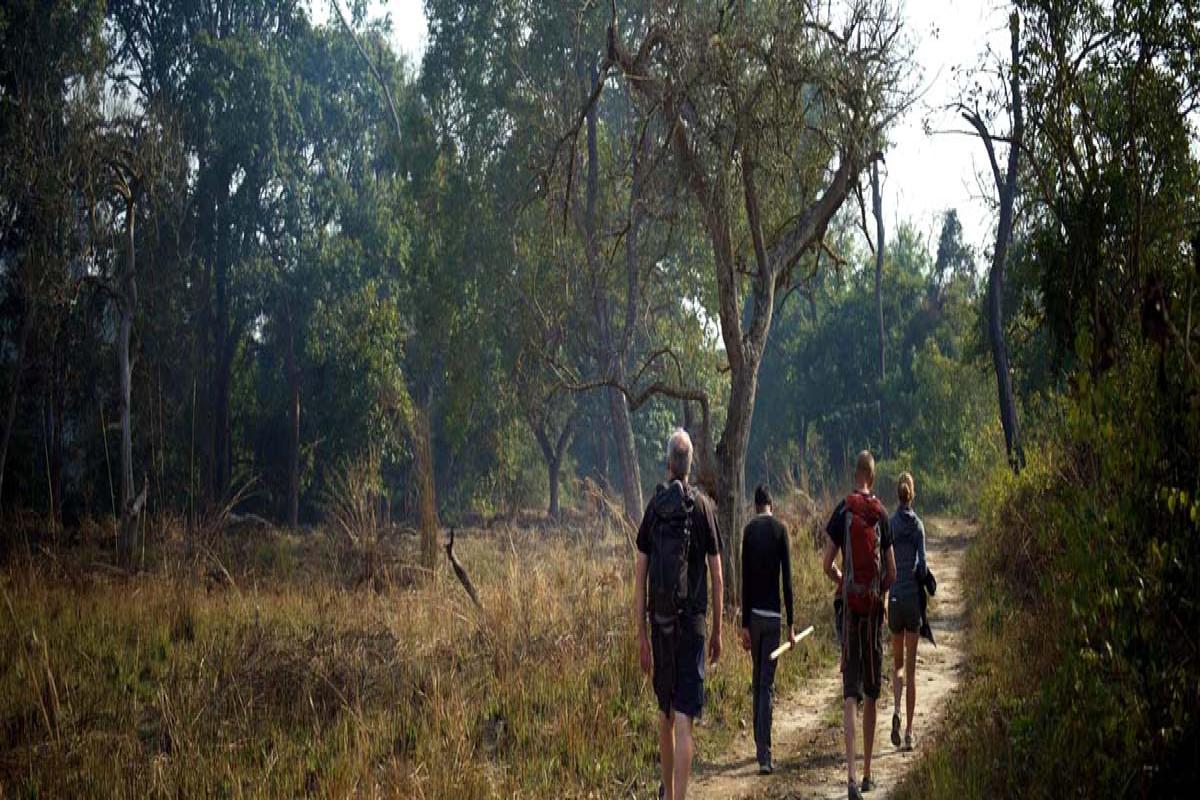 Touring in Bardia National Park