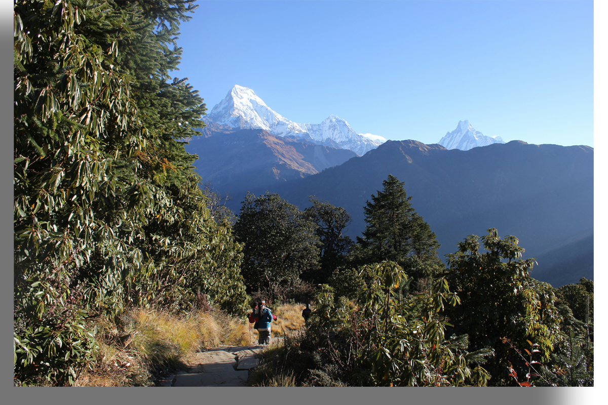 Langtang Trek